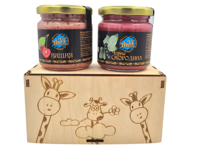 Подарунковий медовий набір Anvi honey  (Вишня + Чорна смородина)